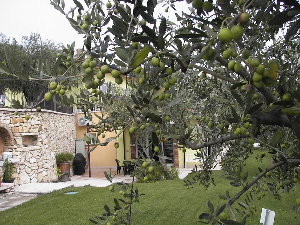 SantʼAmbrogio di Valpolicella B&B Al Cristo מראה חיצוני תמונה