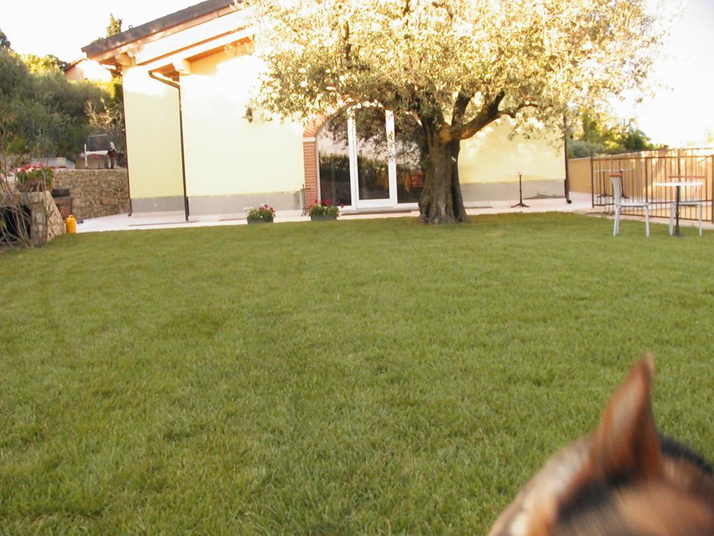 SantʼAmbrogio di Valpolicella B&B Al Cristo מראה חיצוני תמונה